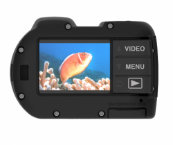 large Micro 3.0 Sealife balidiveshop 2